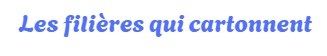 les filières qui cartonnent